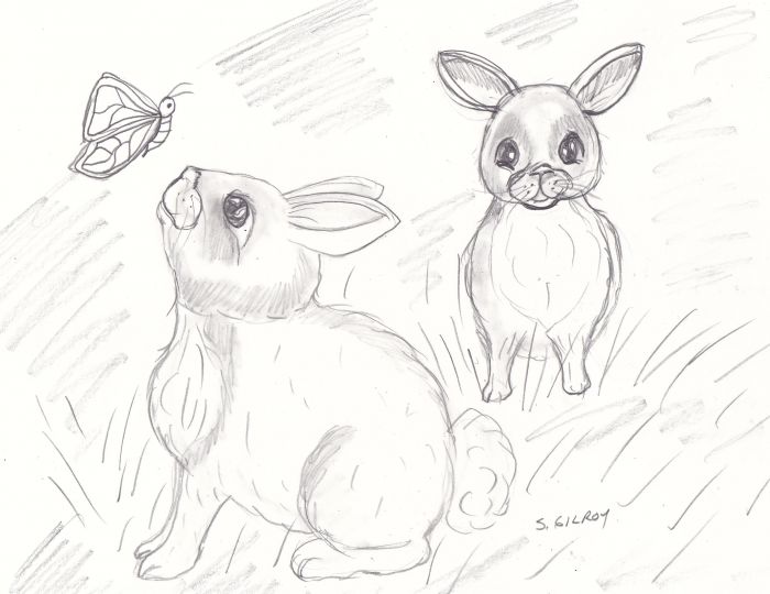 Spring Bunnies by Sally Gilroy